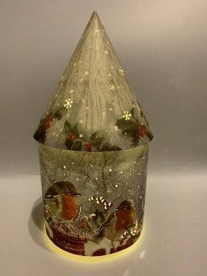 Light up Christmas House - Robins