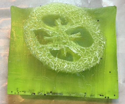 Large Loofa soap slice (Lime and Tyme )